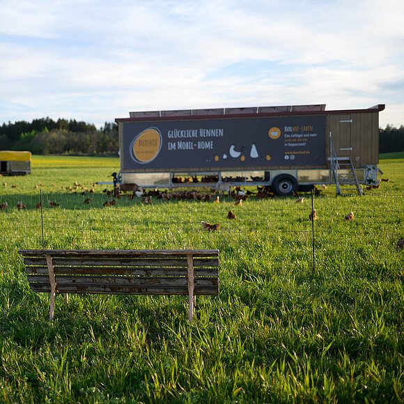 Holzbank auf einer Wiese, im Hintergrund ein mobiler Hühnerstall und Hühner.